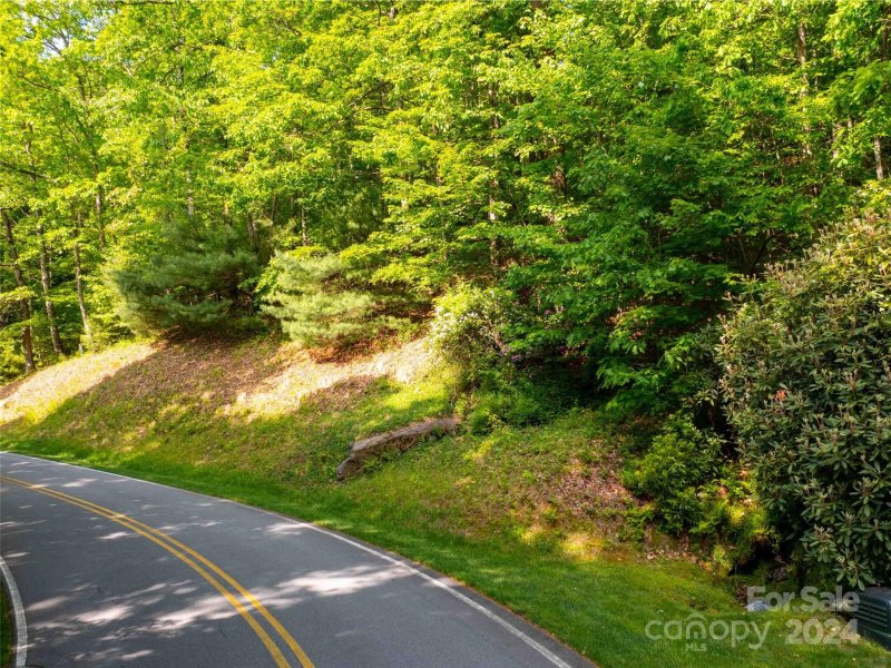 Property image 3 of 166 Chattooga Run in Champion Hills, Hendersonville, NC 28739