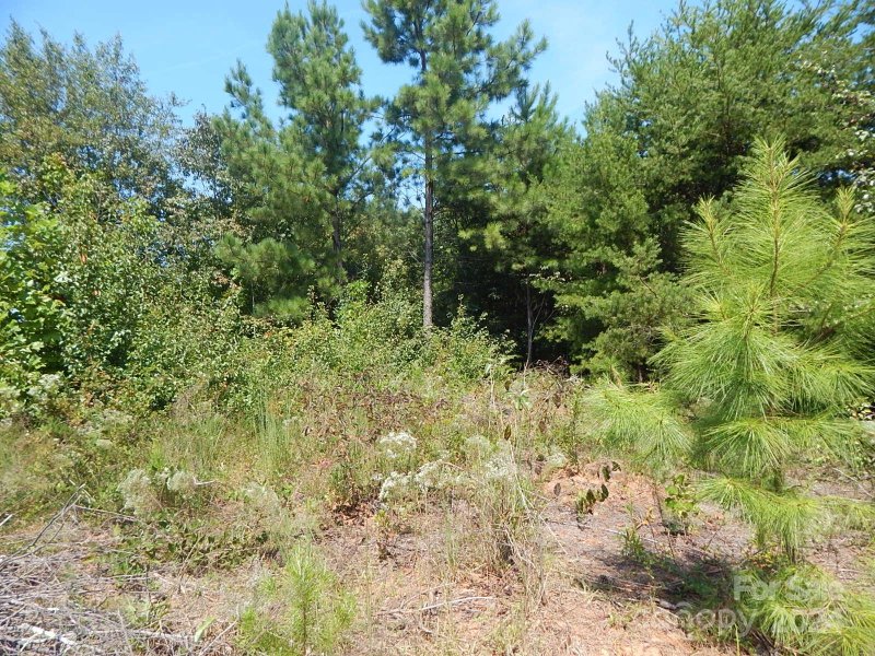 Property image 2 at 2127 Quarter Crest Drive, Newton, NC 28658