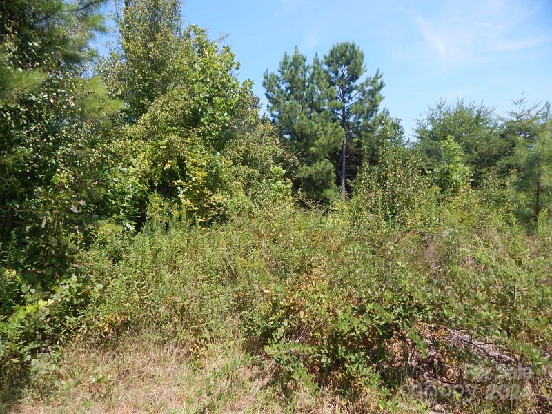 Property image 4 at 2127 Quarter Crest Drive, Newton, NC 28658