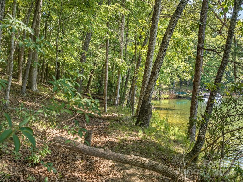 Property image 5 at 00 Deer Run Court, Mill Spring, NC 28756