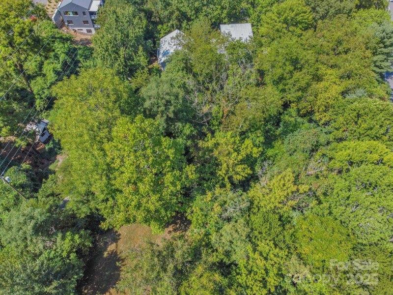 Property image 3 of 5 Club Street in Chicken Hill, Asheville, NC 28801