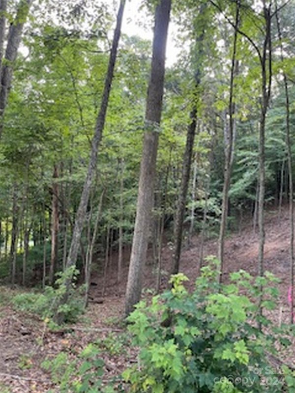 Property image 3 at 26 Kaleidoscope Cove, Waynesville, NC 28785