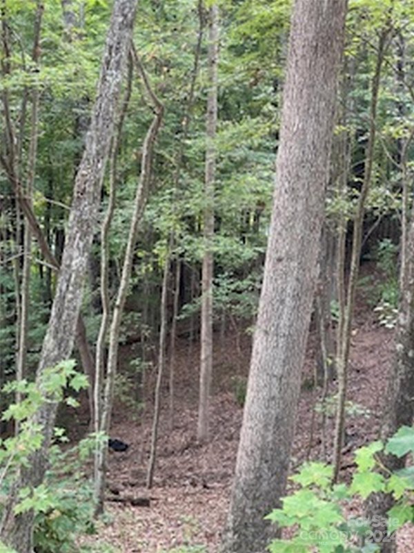 Property image 4 at 26 Kaleidoscope Cove, Waynesville, NC 28785