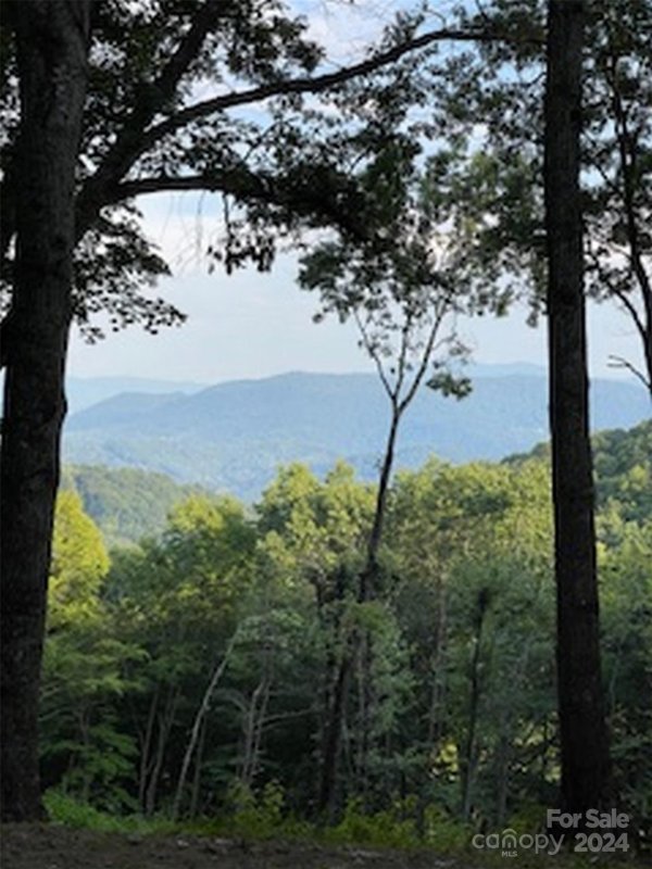 Property image 5 at 26 Kaleidoscope Cove, Waynesville, NC 28785