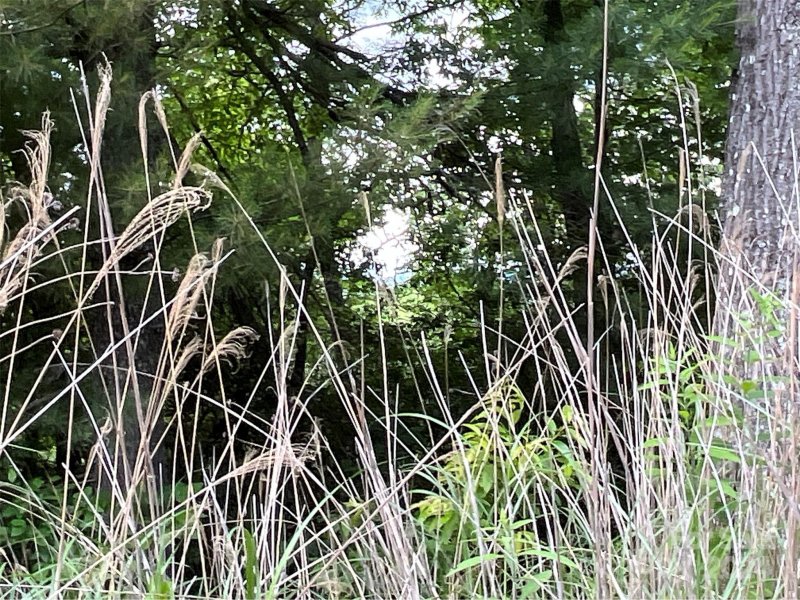 Property image 3 at 999 Erwin Hill Drive, Etowah, NC 28792