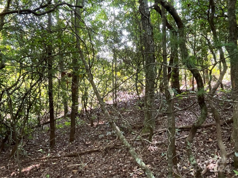 Property image 5 at 999 Erwin Hill Drive, Etowah, NC 28792