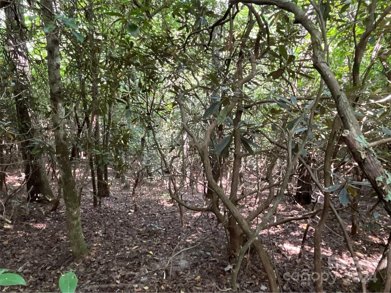 Property image 4 at 99999 Erwin Hill Drive, Etowah, NC 28792