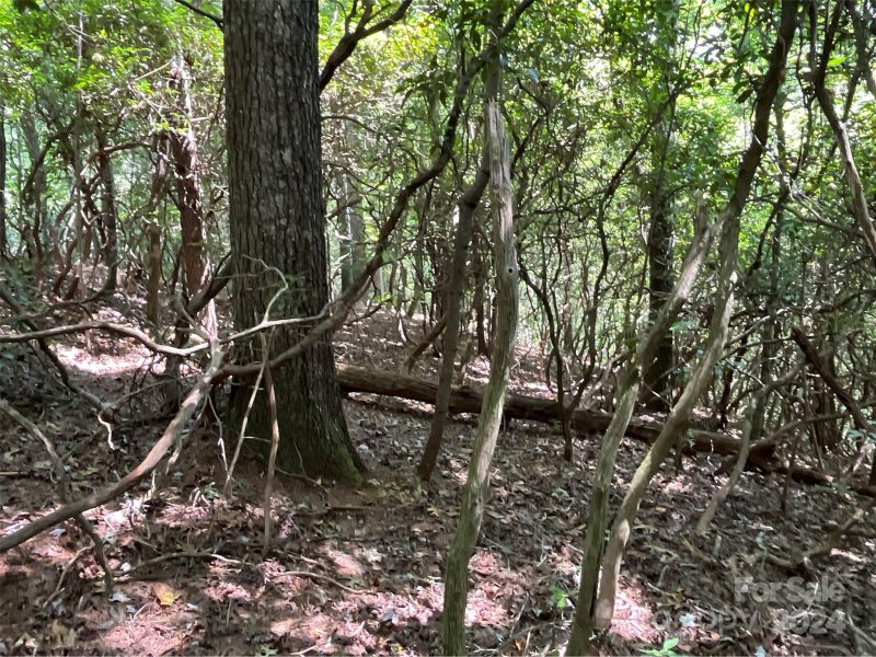 Property image 2 of 9999 Erwin Hill Drive in Laurel Cove Retreat, Etowah, NC 28792