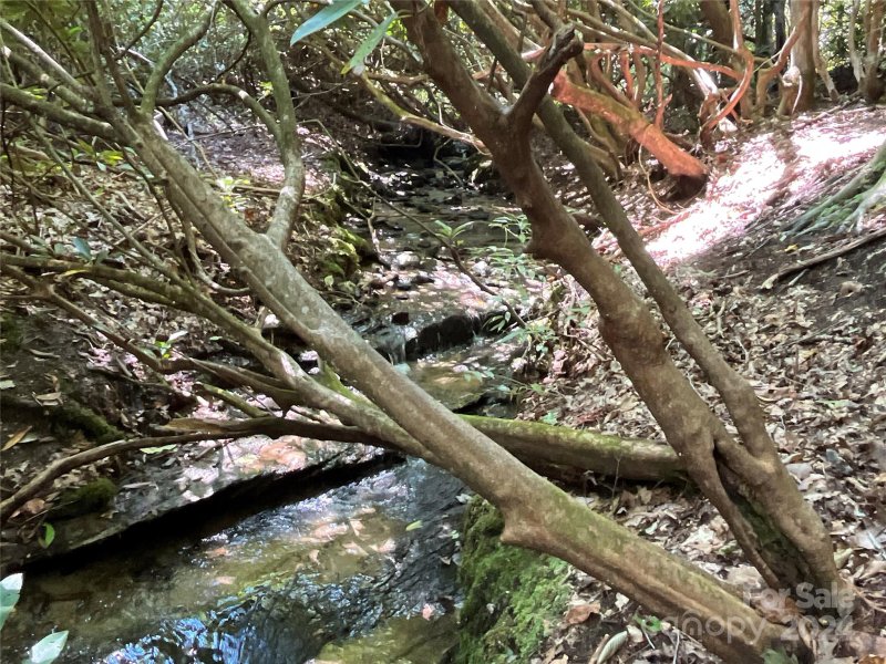 Property image 3 of 9999 Erwin Hill Drive in Laurel Cove Retreat, Etowah, NC 28792