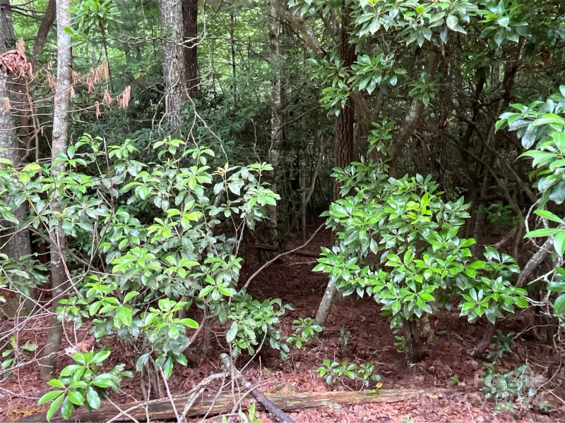 Property image 4 of 9999 Erwin Hill Drive in Laurel Cove Retreat, Etowah, NC 28792