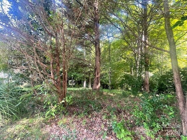 Property image 2 at 11206 Mallard Crossing Drive, Charlotte, NC 28262