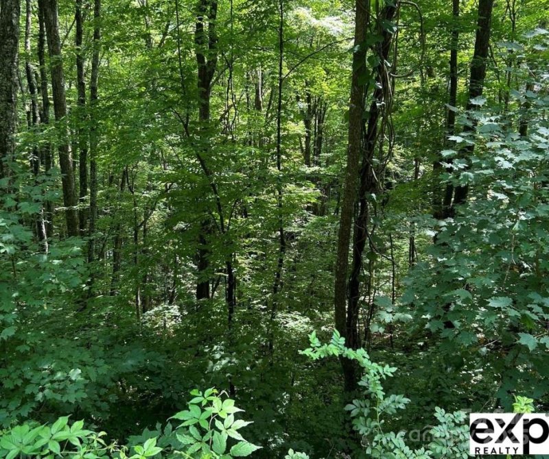 Property image 2 of 0000 Conley Drive in William Sutton Properties, Maggie Valley, NC 28751