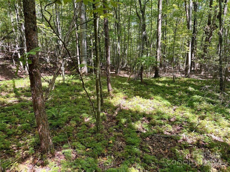 Property image 2 at 0 Tahawus Drive, Bostic, NC 28018