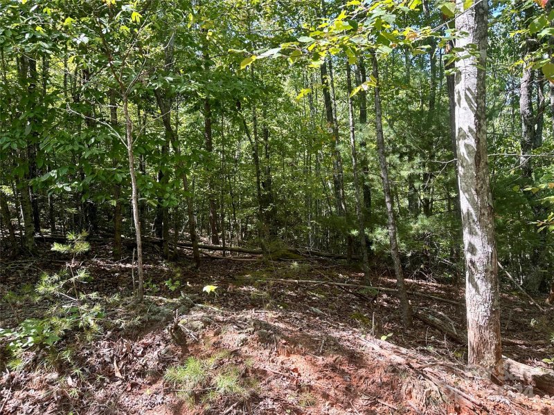 Property image 3 at 0 Tahawus Drive, Bostic, NC 28018