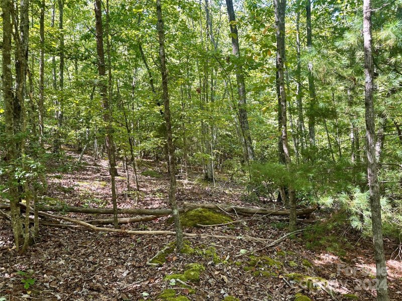 Property image 4 at 0 Tahawus Drive, Bostic, NC 28018