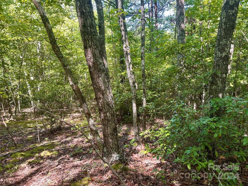 Property image 5 at 0 Tahawus Drive, Bostic, NC 28018