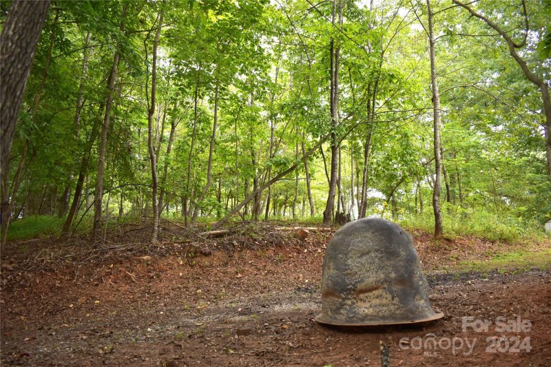 Property image 3 of 0 Ridgeview Circle in Lakeview Estates, Lake Lure, NC 28746