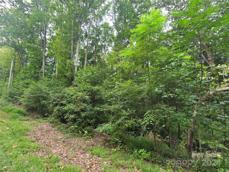 Property image 2 at Vacant Tanglewood Drive, Albemarle, NC 28001