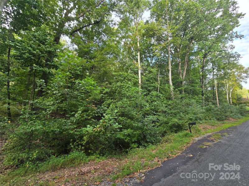 Property image 3 at Vacant Tanglewood Drive, Albemarle, NC 28001