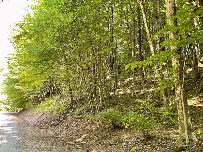 Property image 3 of Lot 507 Slippery Rock Road in Cataloochee Ranch Estates, Waynesville, NC 28785