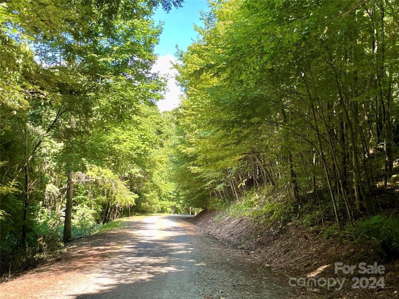 Property image 5 of Lot 507 Slippery Rock Road in Cataloochee Ranch Estates, Waynesville, NC 28785
