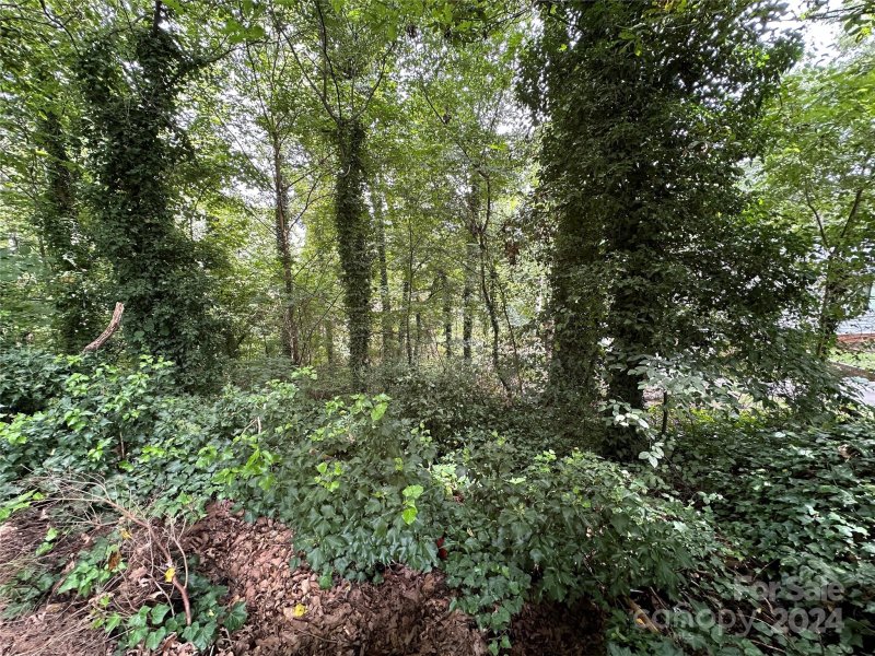 Property image 4 at 5526 Brookwood Lane, Hickory, NC 28602