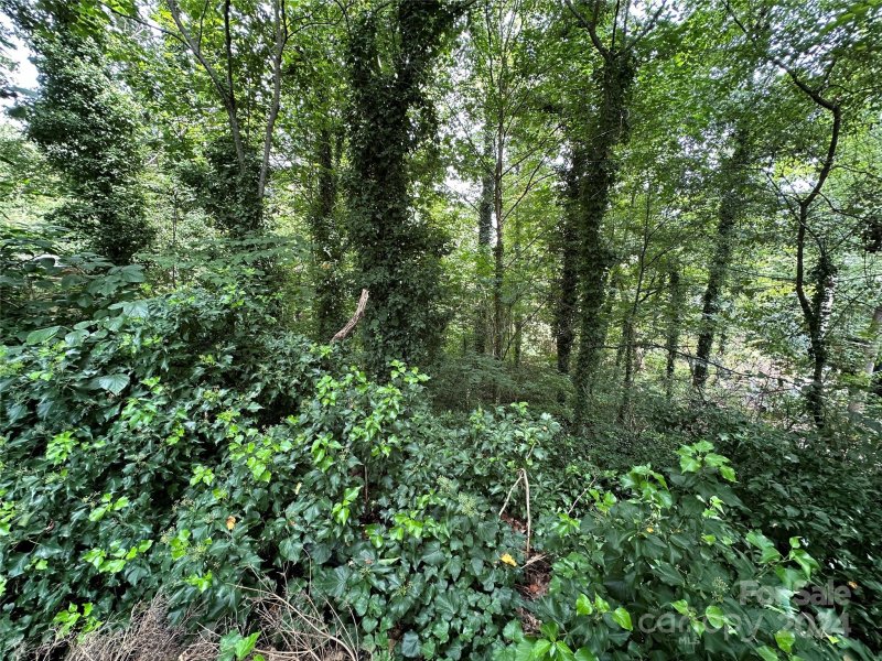 Property image 5 at 5526 Brookwood Lane, Hickory, NC 28602