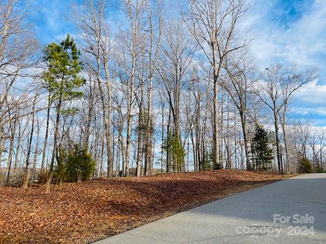 Property image 5 at Lot 17 Ridgeview Lane, Iron Station, NC 28080