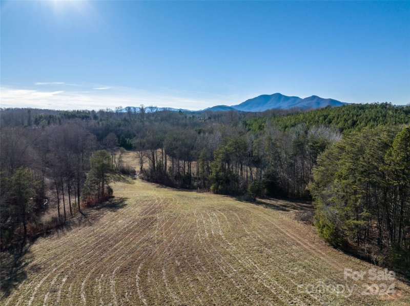 Property image 3 of Lot 48 1 Ar Thompson Road in Tryon Equestrian Farms, Mill Spring, NC 28756