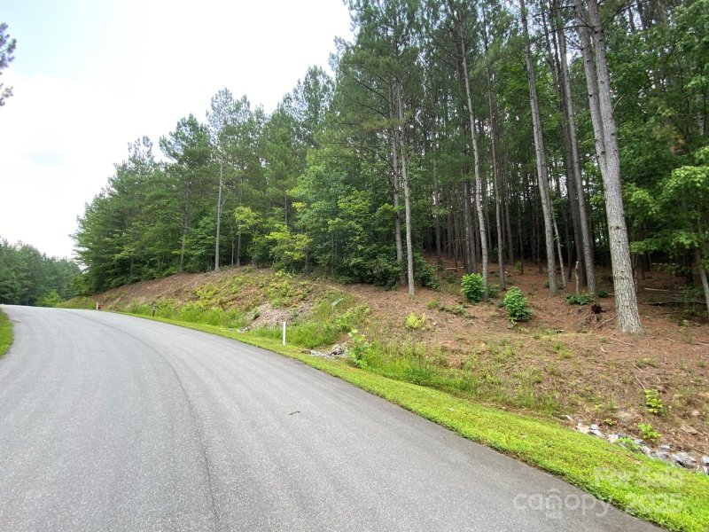 Property image 2 of 164 W Settings Boulevard in Lake Rhodhiss Estates, Valdese, NC 28690