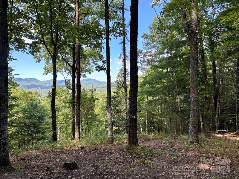 Property image 3 of 176 Winterberry Drive in French Broad Crossing, Marshall, NC 28753