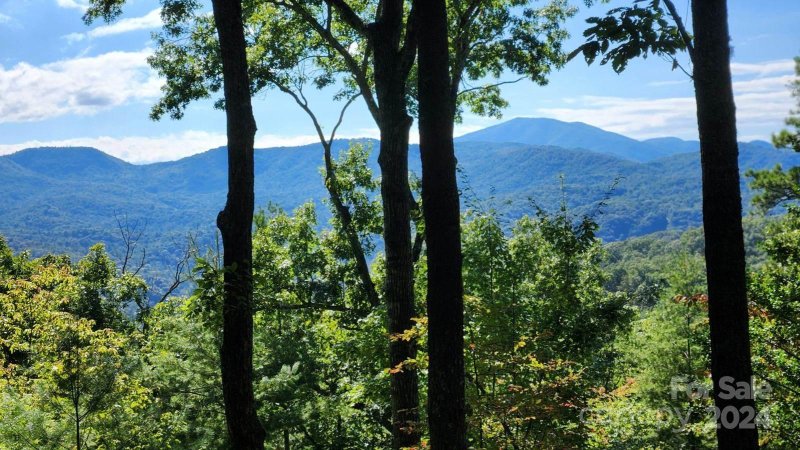 Property image 5 of 176 Winterberry Drive in French Broad Crossing, Marshall, NC 28753