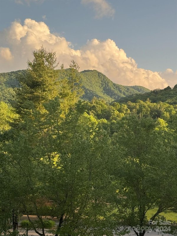 Property image 4 at 10 Keats Road, Black Mountain, NC 28711