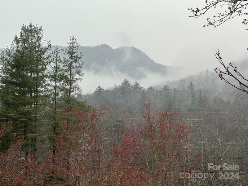 Property image 5 at 10 Keats Road, Black Mountain, NC 28711