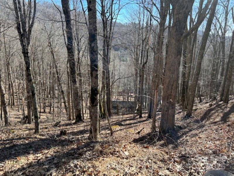 Property image 2 of 960 Oak Ridge Lane in Wolf Laurel, Mars Hill, NC 28754