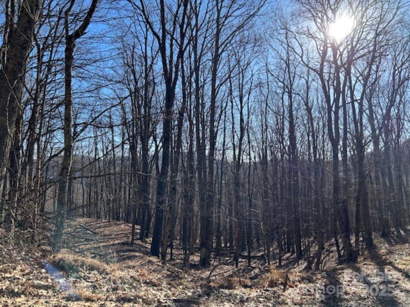 Property image 2 of 326 Hamlin Lane in Wolf Laurel, Mars Hill, NC 28754