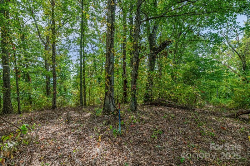 Property image 5 of 1380 Seven Glens Drive in Seven Glens, Weaverville, NC 28787