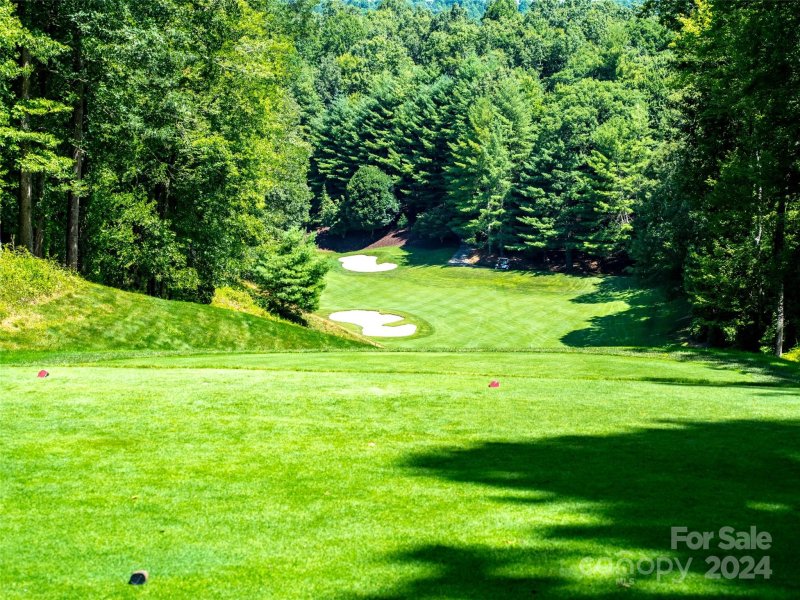 Property image 4 of 3 Cooper Cove South in Champion Hills, Hendersonville, NC 28739