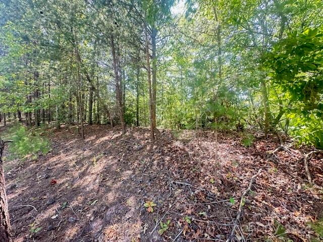 Property image 2 at 7 Woodward Drive, Mill Spring, NC 28756