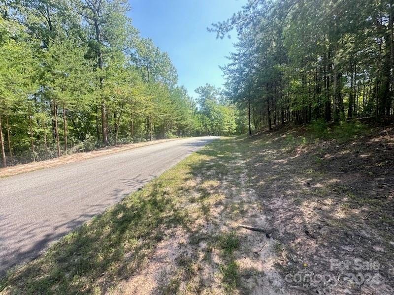 Property image 3 at 7 Woodward Drive, Mill Spring, NC 28756