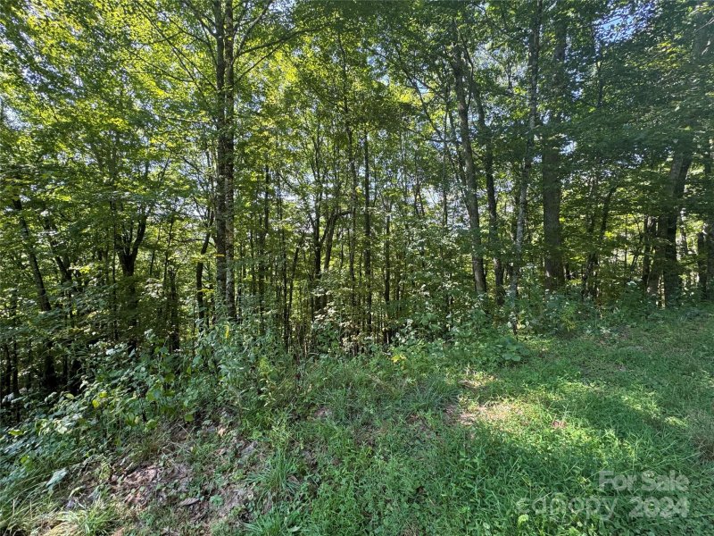 Property image 2 of 229 Hanging Rock Road in Wolf Laurel, Mars Hill, NC 28754