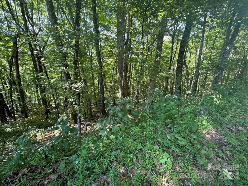 Property image 4 of 229 Hanging Rock Road in Wolf Laurel, Mars Hill, NC 28754