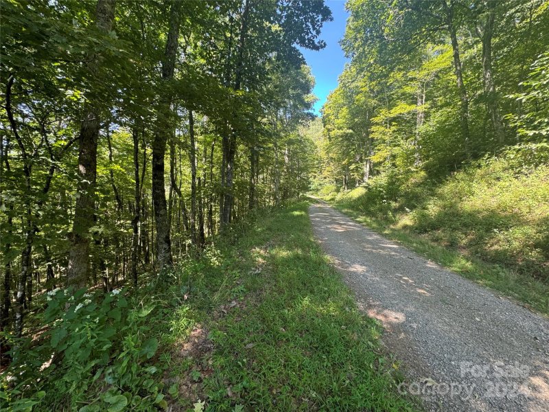 Property image 5 of 229 Hanging Rock Road in Wolf Laurel, Mars Hill, NC 28754