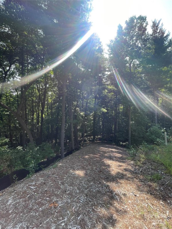 Property image 5 of Lot 21 Haverhill Court in Kenmure, Flat Rock, NC 28731