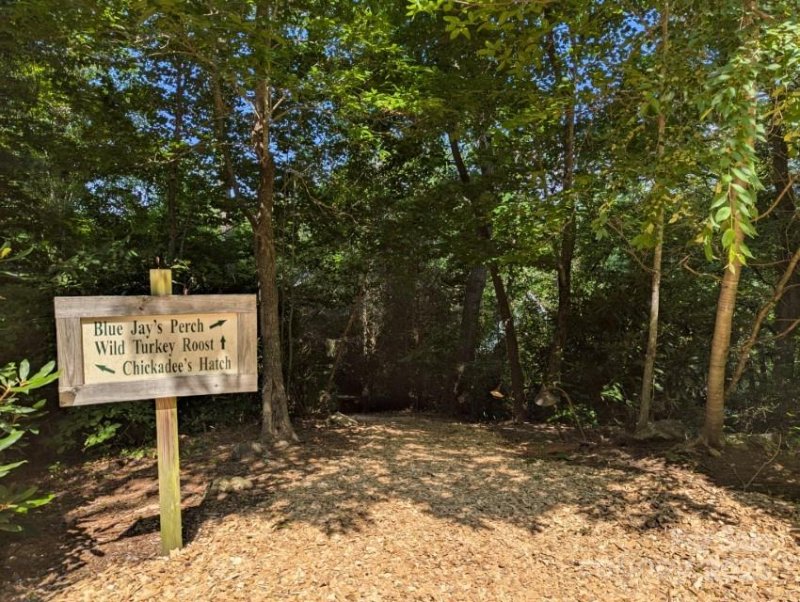 Property image 5 of 5 Chaucer Road in Cheshire, Black Mountain, NC 28711