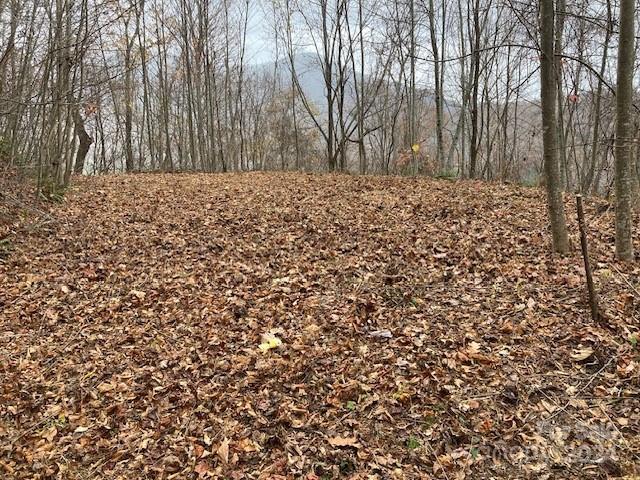 Property image 2 at Lot 25 Appalachian Trail, Maggie Valley, NC 28751