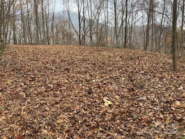 Property image 3 at Lot 25 Appalachian Trail, Maggie Valley, NC 28751