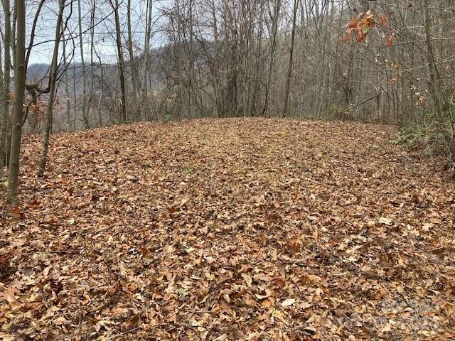 Property image 4 at Lot 25 Appalachian Trail, Maggie Valley, NC 28751