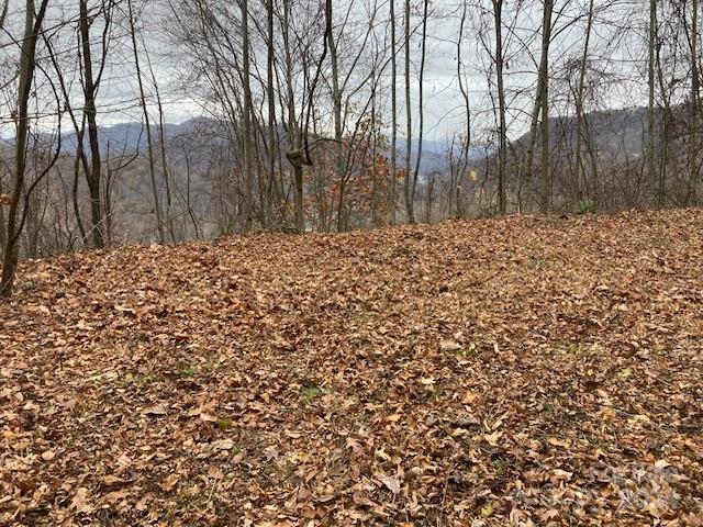 Property image 5 at Lot 25 Appalachian Trail, Maggie Valley, NC 28751