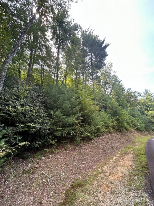 Property image 2 of Tbd Peppervine Circle in Round Mountain Falls, Brevard, NC 28712